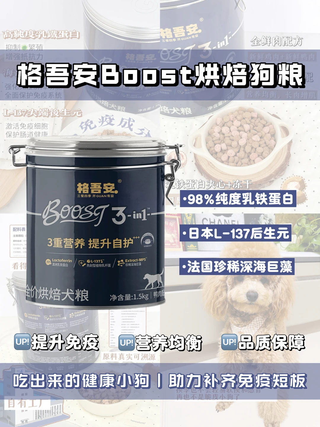 吃出来的免疫力｜这款烘焙狗粮真香了