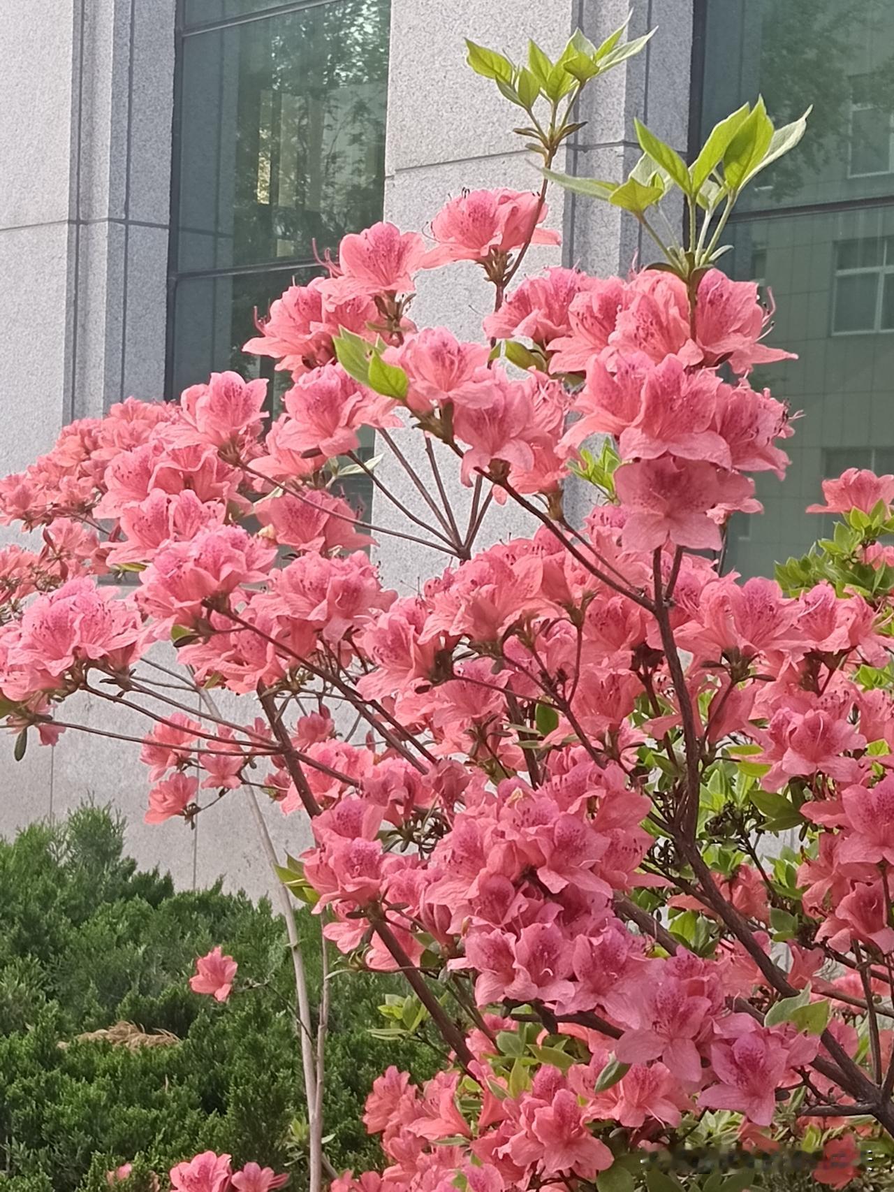 50+以后，才明白的真相：
1.家境一般就早点结婚，结婚改命！
2.通过上班想财