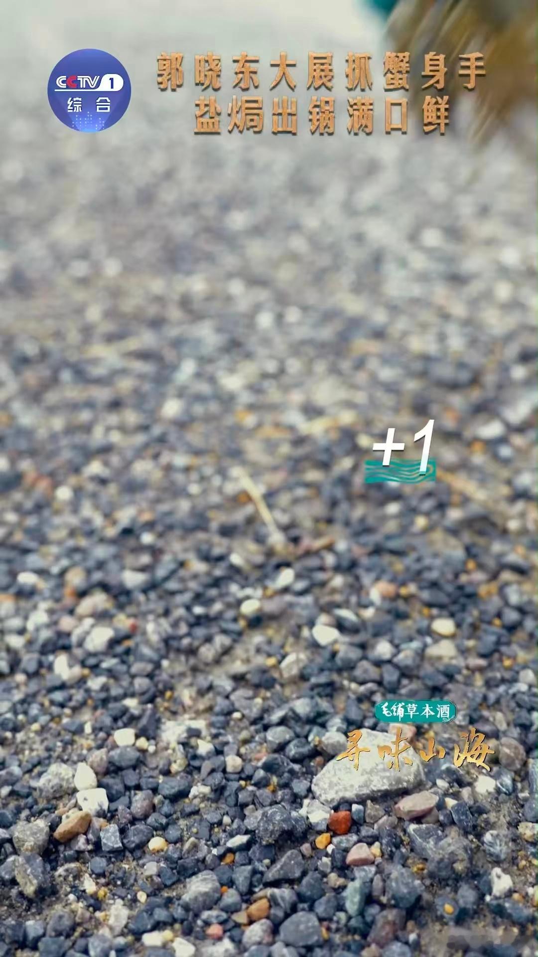 一抓一个大河蟹的快乐每年9到11月的梁子湖大河蟹最肥，这时候不管怎么做都好吃！盐