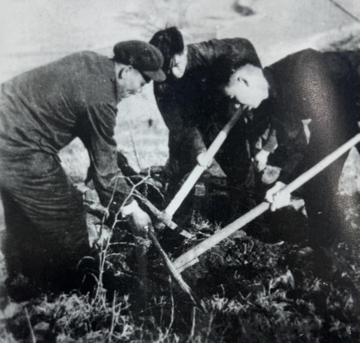1956年4月，杨贵在龙头山植树造林，配合水利设施防洪固土。杨贵主张“水利是根本