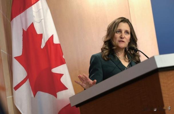 加拿大前副总理克里斯蒂娅·弗里兰于当地时间1月7日宣布，她将于1月9日辞去国会议