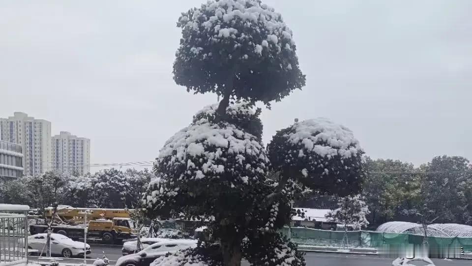 水涨孟秋漫绿堤
雪落季冬染素岭
 (下联为原创)
七绝诗词美韵 今韵七绝 原创七