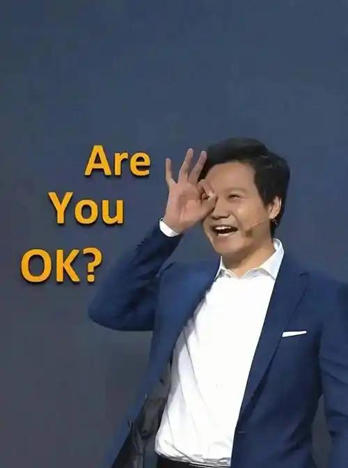 企业家里面最佩服的还是雷军，无论网友玩什么梗，无论面对怎样的狂风暴雨，他都能坦然