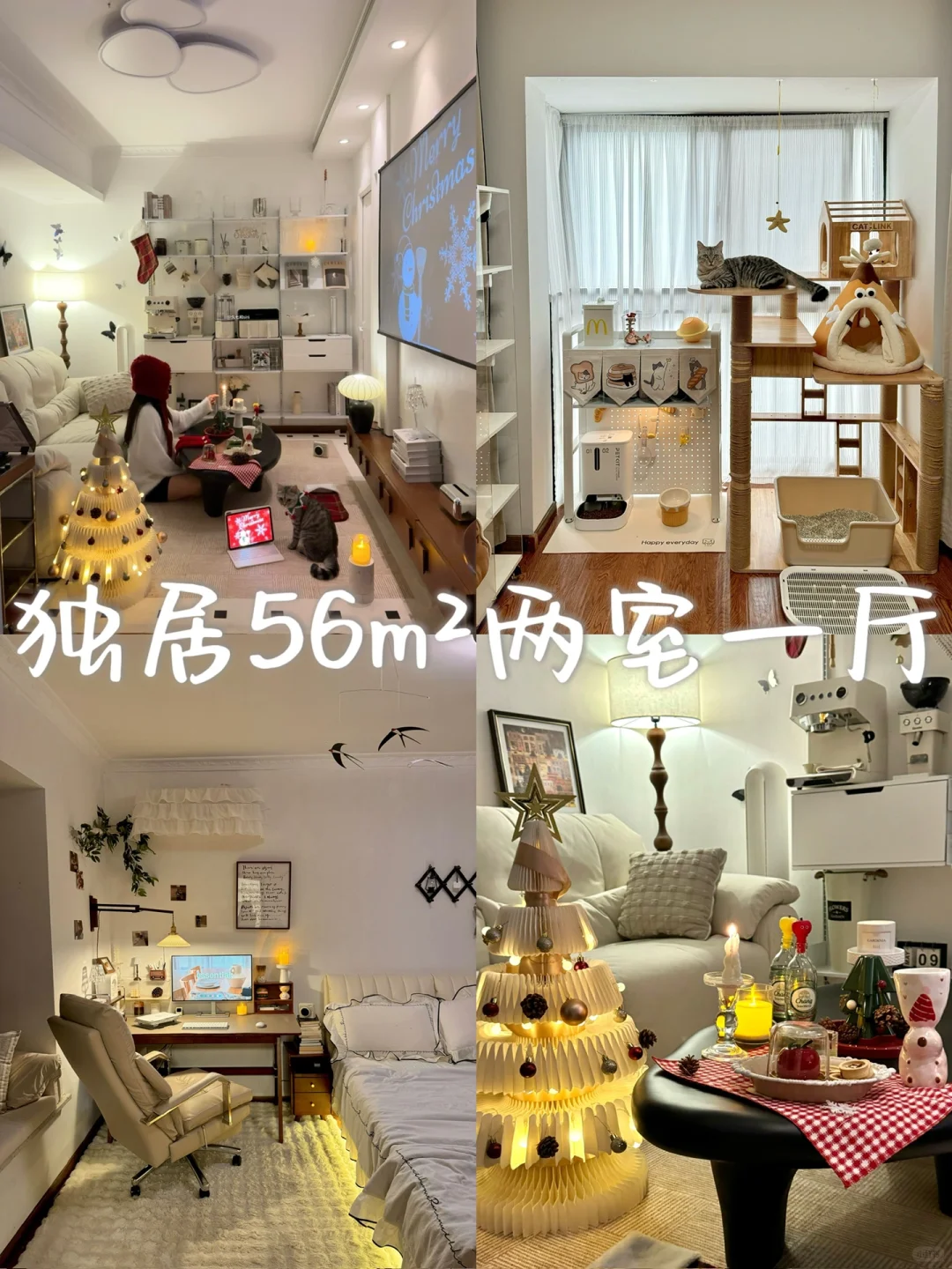 网购了一个家🏠和小猫一起过第2️⃣个圣诞喽