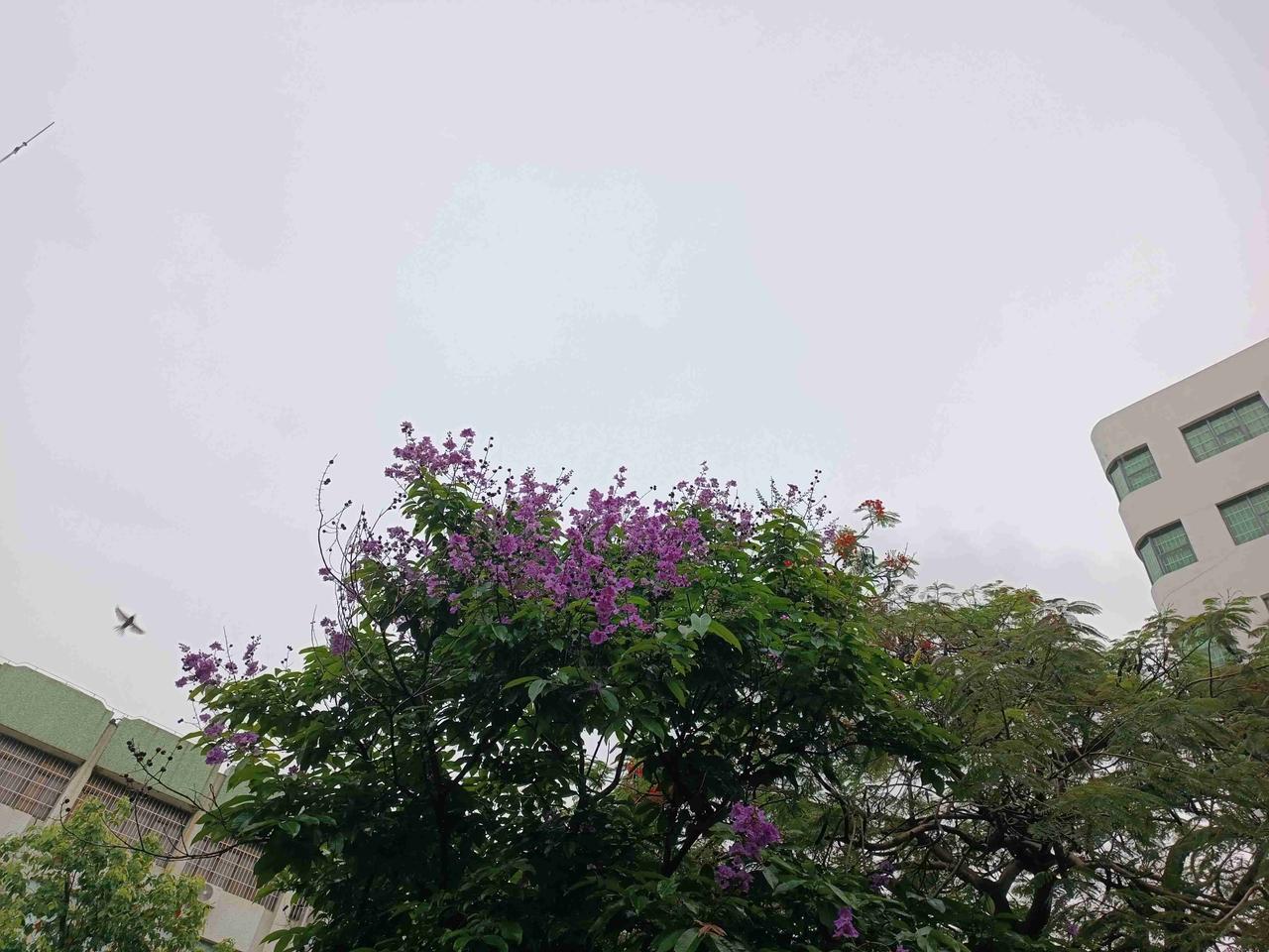 我的今日状态：🏃‍➡️运动
我这里的天气：☀️晴天
