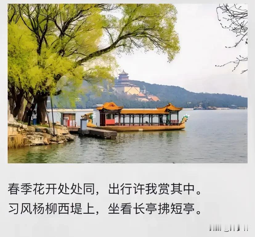 七律·送春
燕旭

柳带棼然谢故家，俯躬妆泪了音华。
曾经代语多生气，此刻随风又