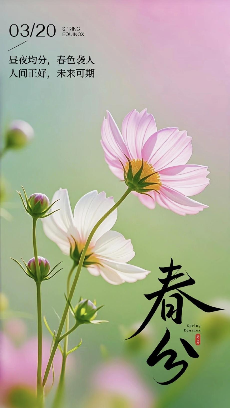 今日春分，强烈建议中老年：今日早餐吃4种，元气满满一整天!
 
今日春分，昼夜平