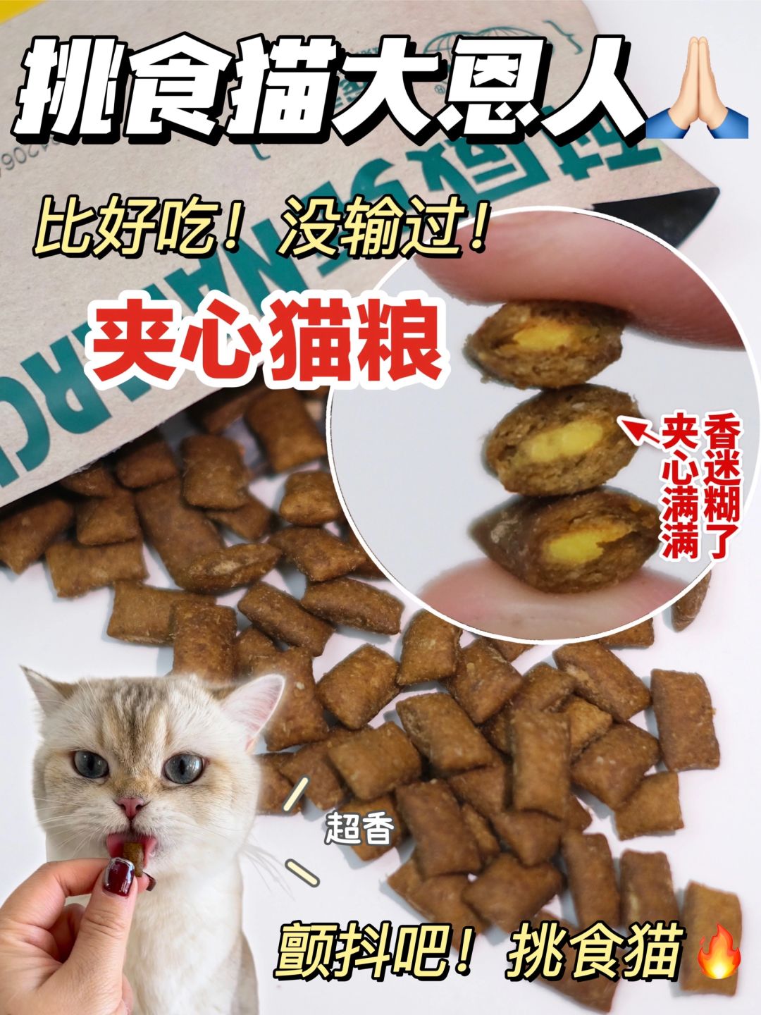 服了夹心猫粮！挑食小猫汗流浃背了吧