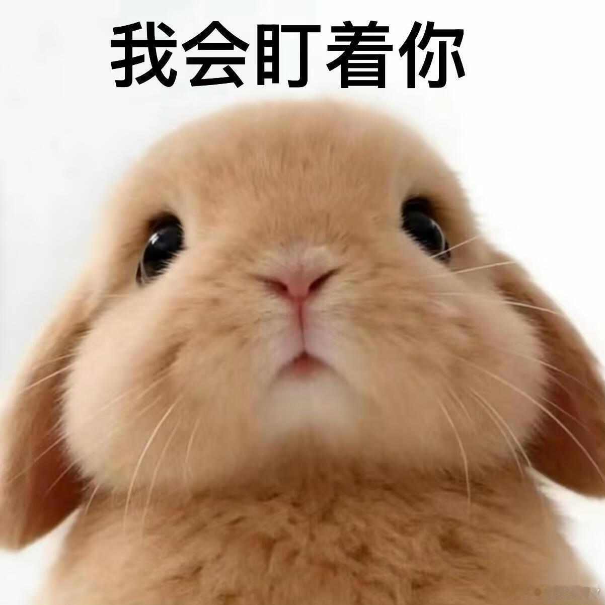 某个团还回不回归了?真把自己当回事了？装逼装逼再继续装逼 