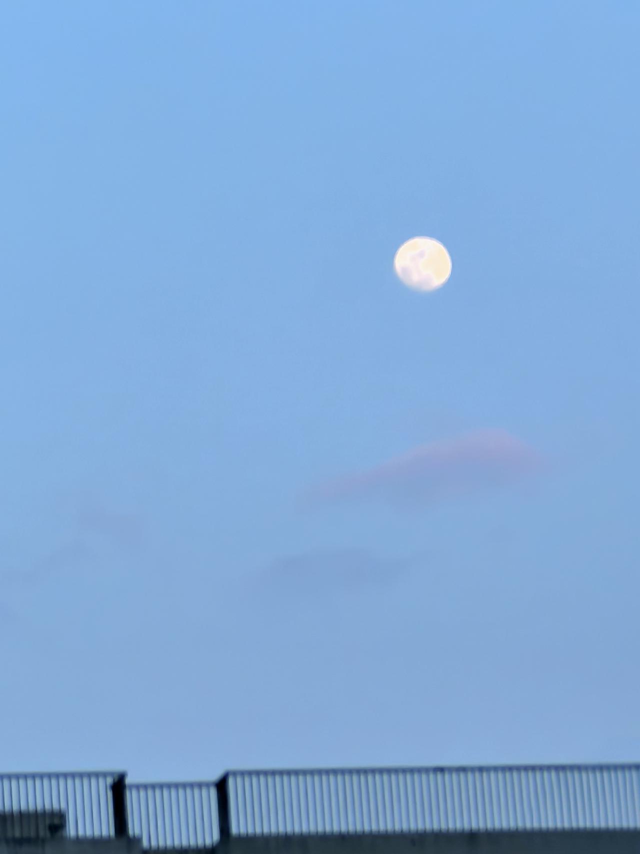 月儿圆圆照九州（现在时）