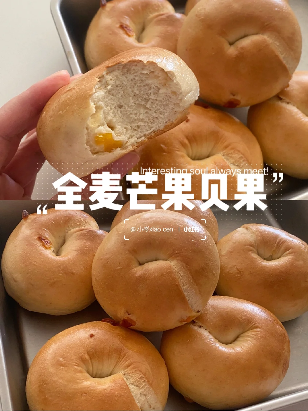清香全麦芒果贝果｜实现贝果自由