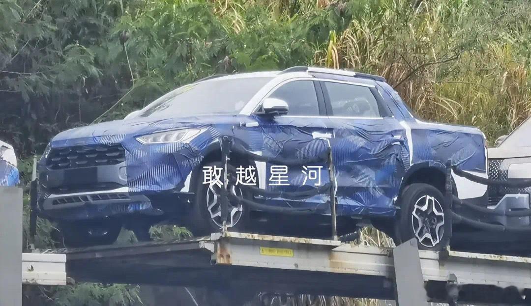 比亚迪又有新皮卡？图源​​​