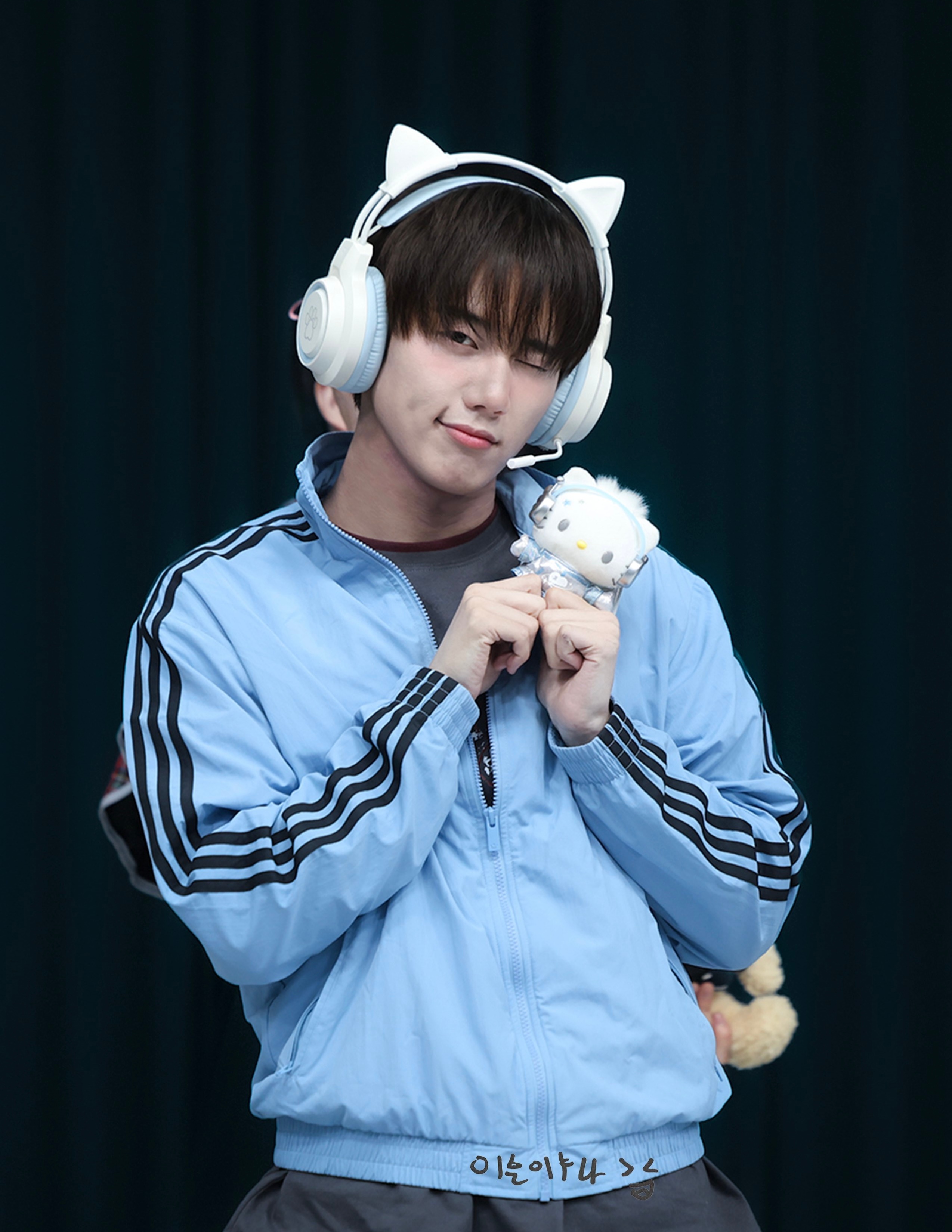 猫猫狗 © gaejuinnn 