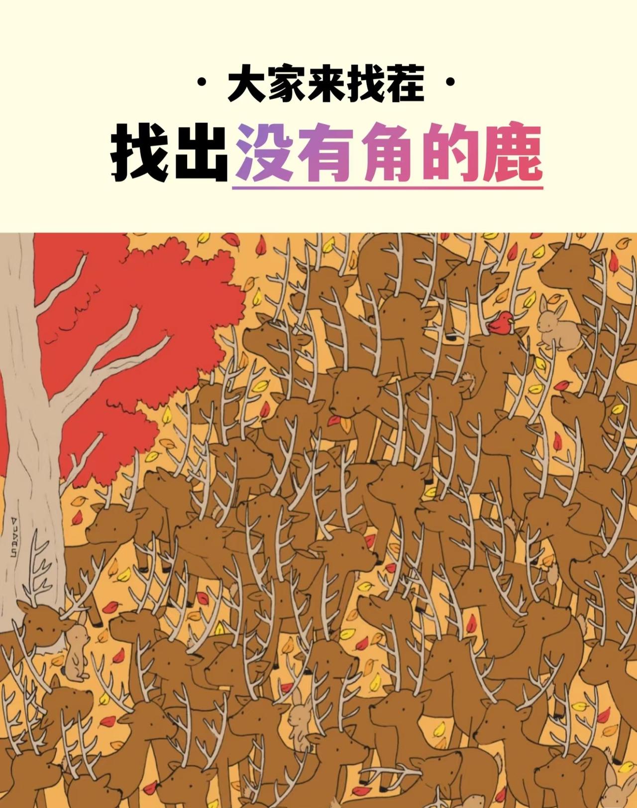 大考来了！图中你能找到没有角的鹿吗？
分享找茬图 看图 看图考验眼力 有趣世界童