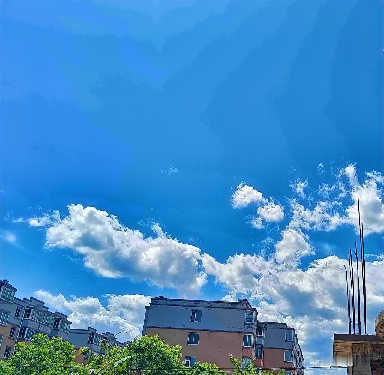今天是6月5日，星期五，今日是芒种，晴天，最高气温零上25度，最低气温零上15度
