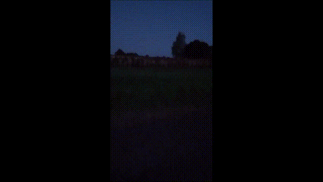 
 普里戈津仍然控制着瓦格纳或是一部分。黎明时候，普里戈津在将瓦格纳旗从莫尔基诺