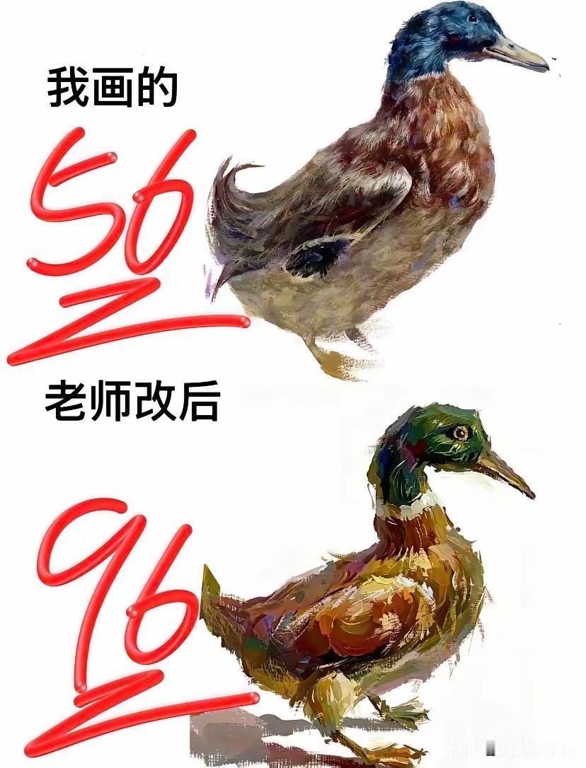 老师改了以后，鸭子🦆都变小了[捂脸]
