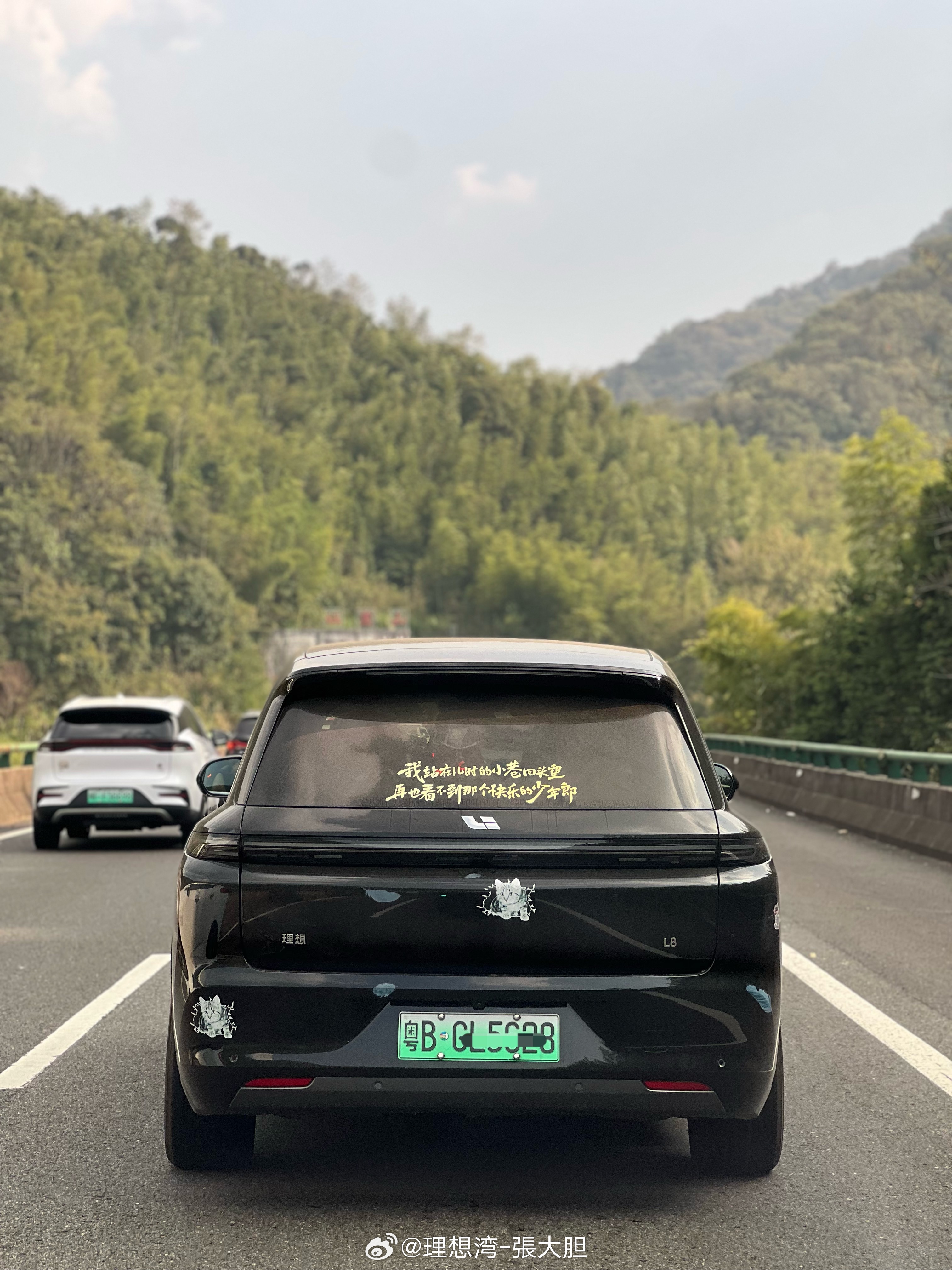 [苦涩][苦涩]看到理想车友们不开前后星环灯，是真的绷不住！一点都不帅！理想汽车