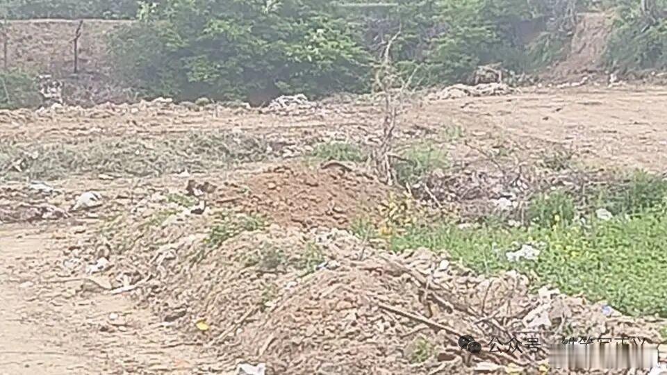 陕西咸阳身边事 兴平：耕地沦为“垃圾场”，政府专项整治文件为何成一纸空文？ “看