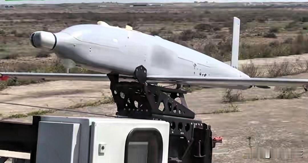 日本政府近期的一项军购计划，把自己推到了舆论和法律的双重风口。日本此次从以色列买