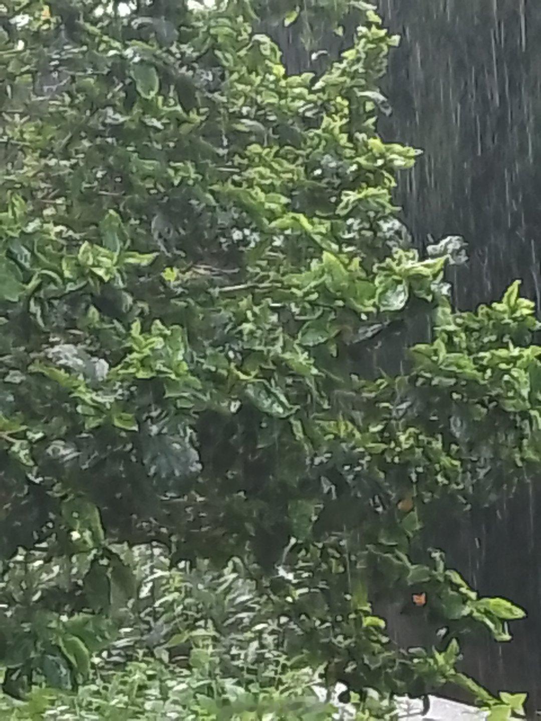 好大🌧 