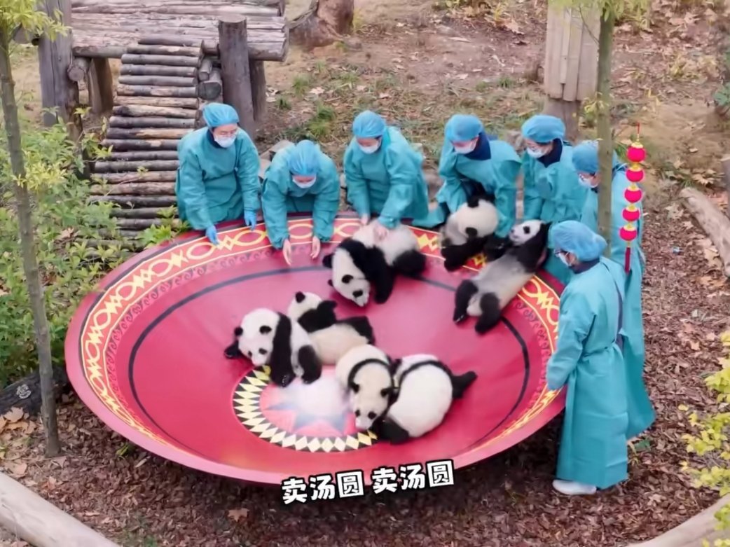 元宵节四川人元宵节吃这个？