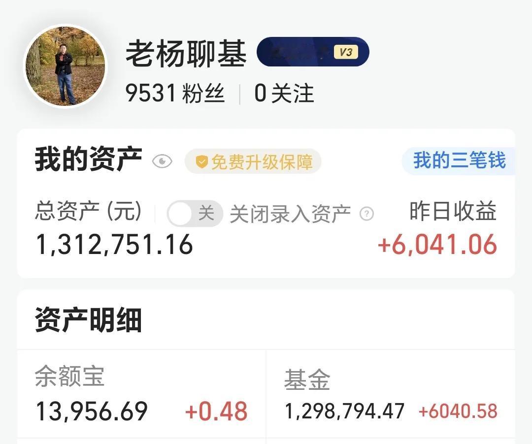 昨天基金收益4060元，连续第二天正收益，很不容易，基金持有1298794元，资