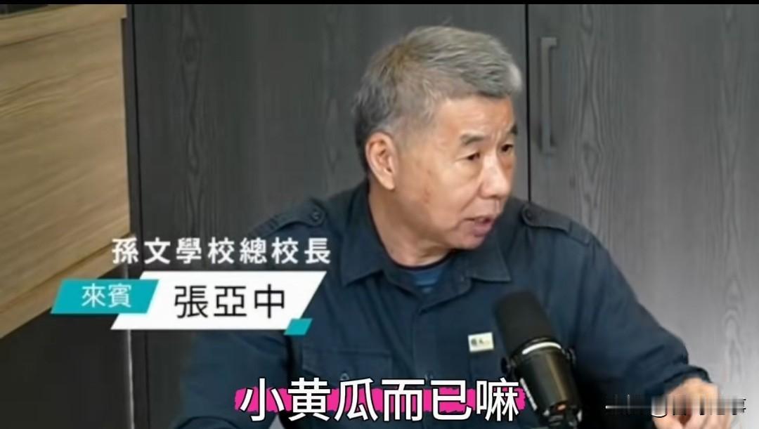 张亚中暗指郑丽文是酱缸里的小黄瓜
    张亚中在黄光芹的节目中表示，这次国民党