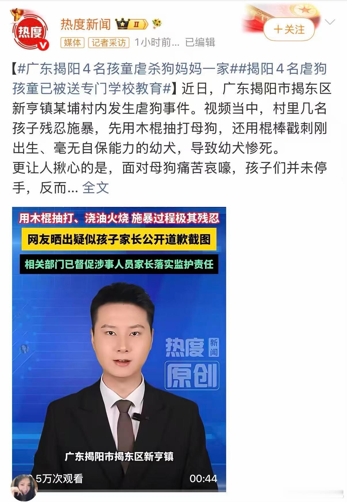 文明社会不仅仅体现于经济或建设更应该体现在对于生命的尊重🫡 