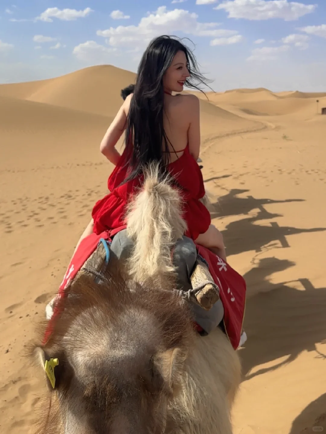 骑🐫咯