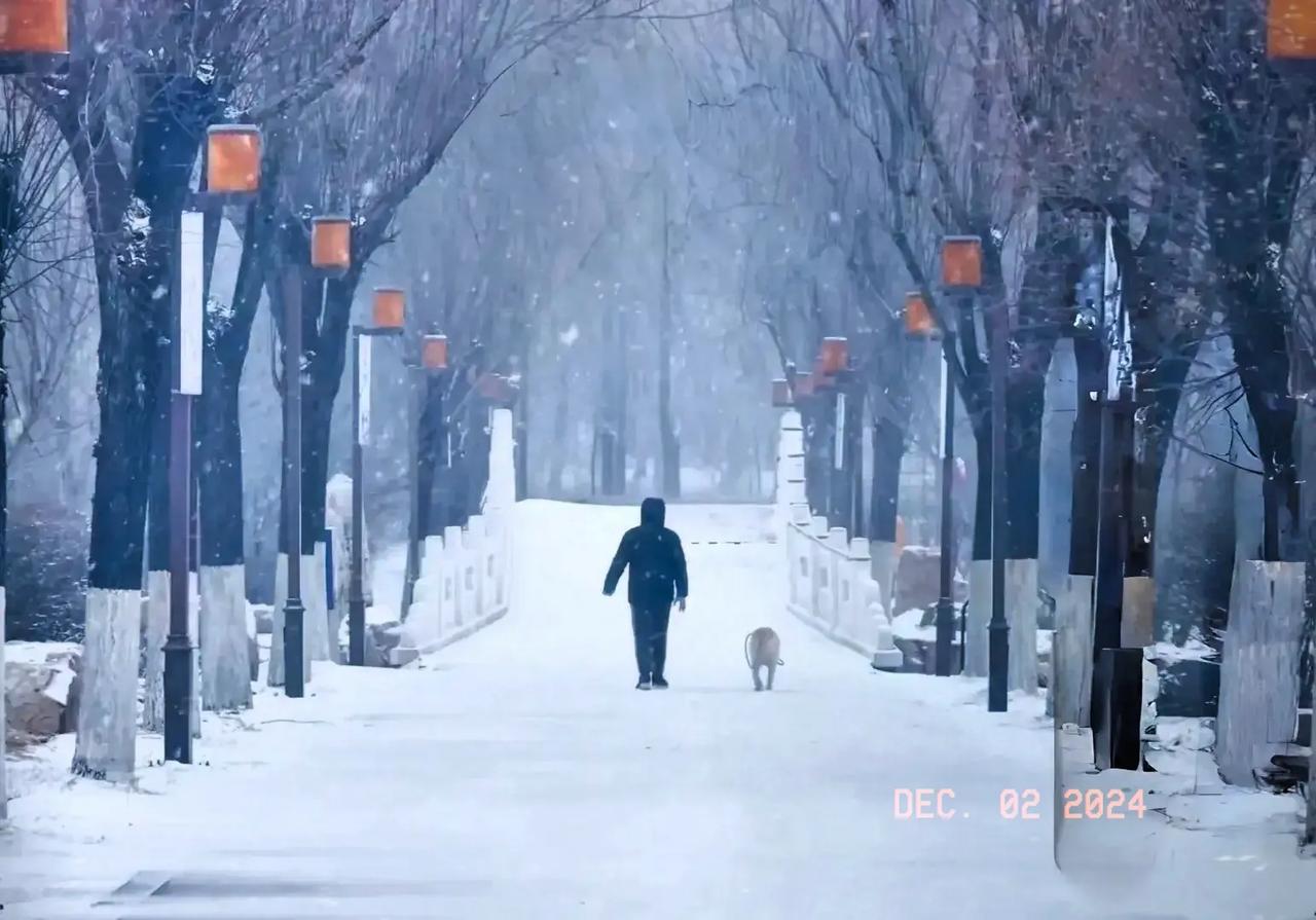 长春南湖，雪中景色更宜人。
