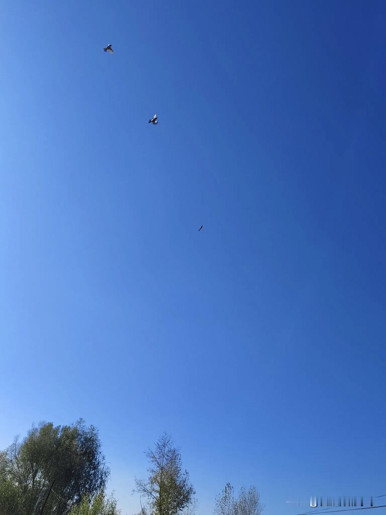 这片湛蓝是不是感觉很安逸，岁月静好