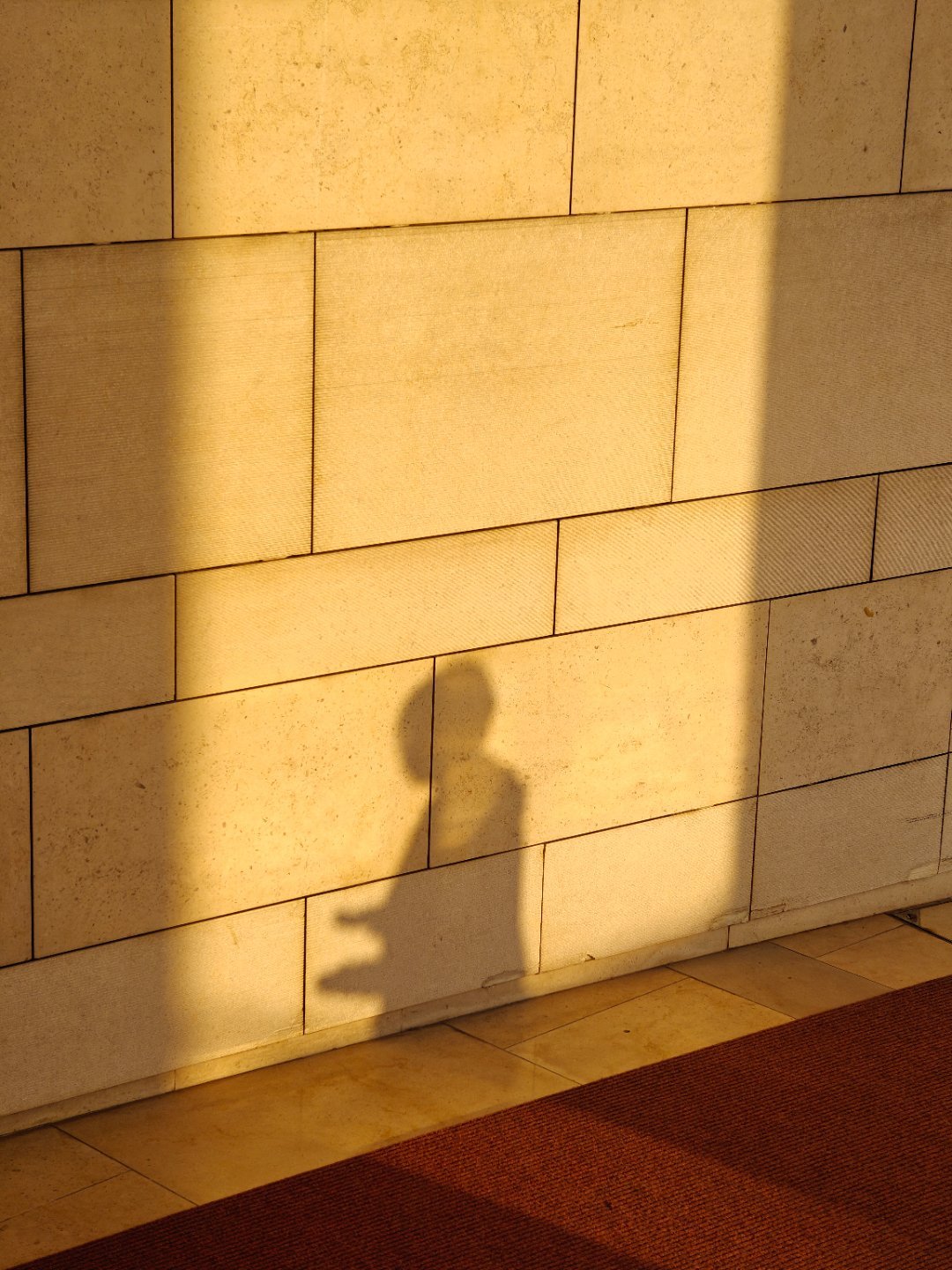 光影剪影在光与影的交织中，恍惚间看到另一个自己#盛夏光年# ​​​