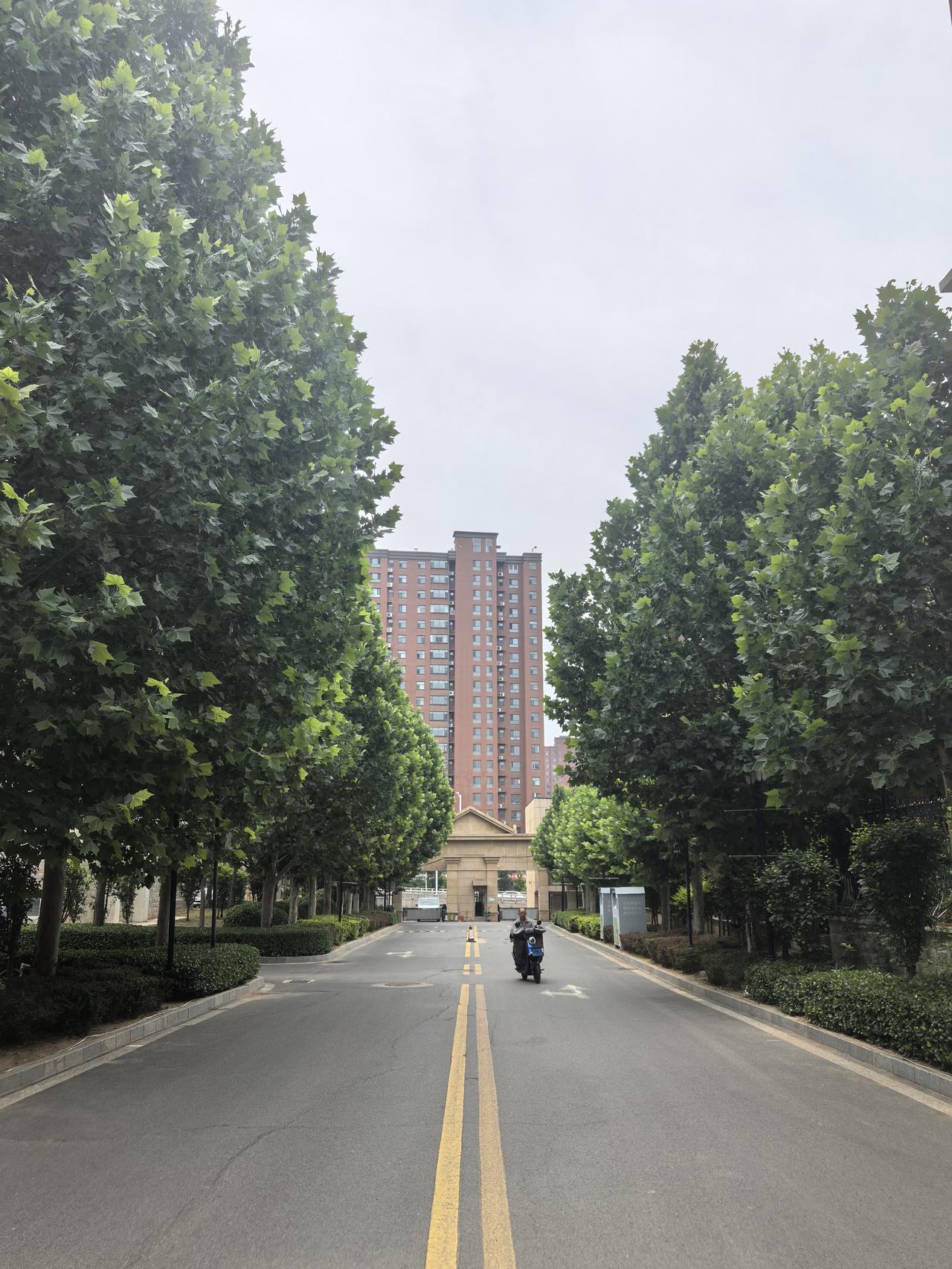 绿树掩映楼阁间，车马徐行入画来。
