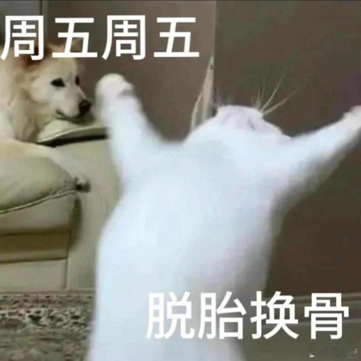 早安[打call][打call]周五了 大家准备干啥早上好 ​​​