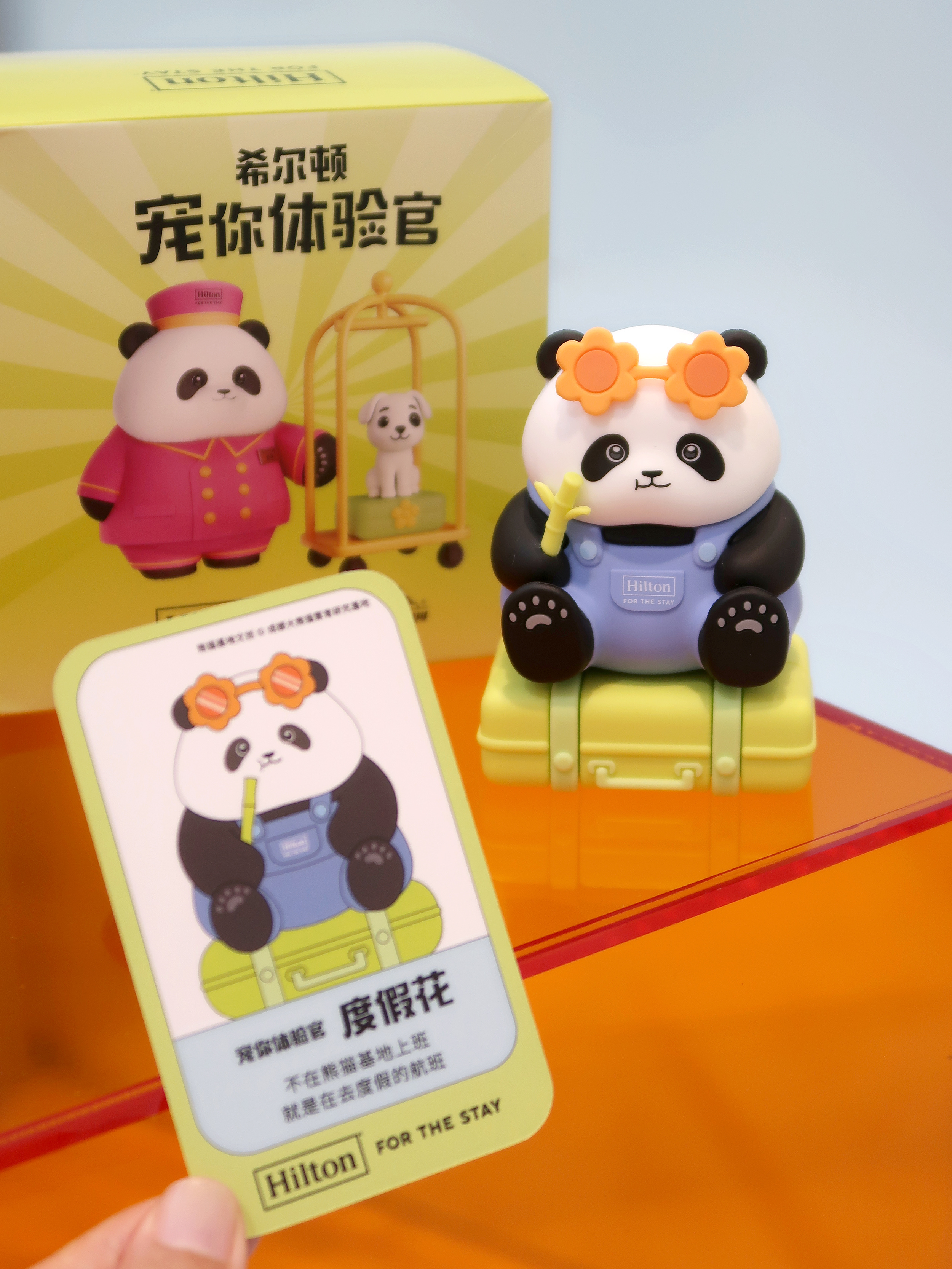 你知道见一次花花有多难吗？🐼开园就要狂奔抢一个好位置，被人潮挤着远远才瞥见一个