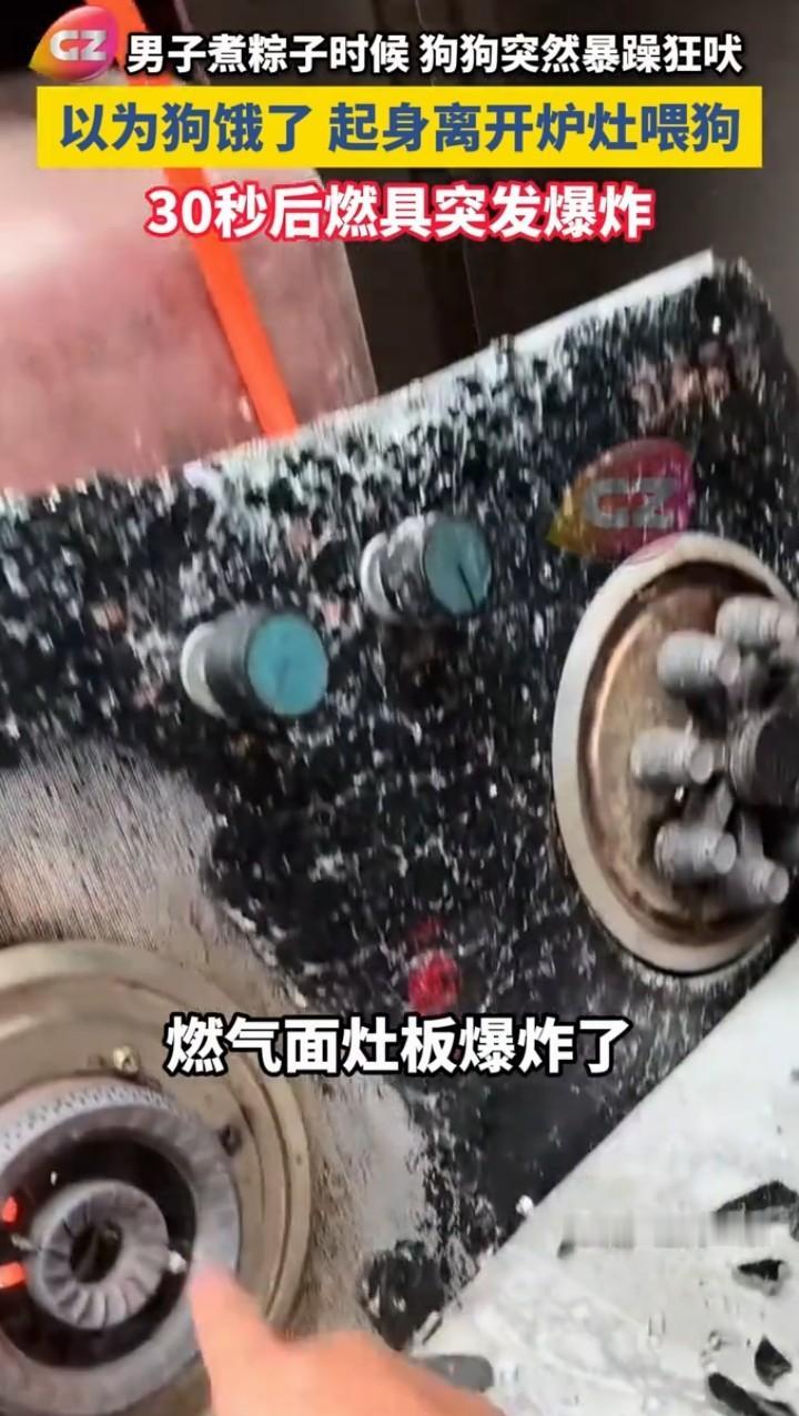 端午前夕，山东一男子煮粽子时，家里养了五年的大黄狗突然狂吠。当时男子只顾着整理粽