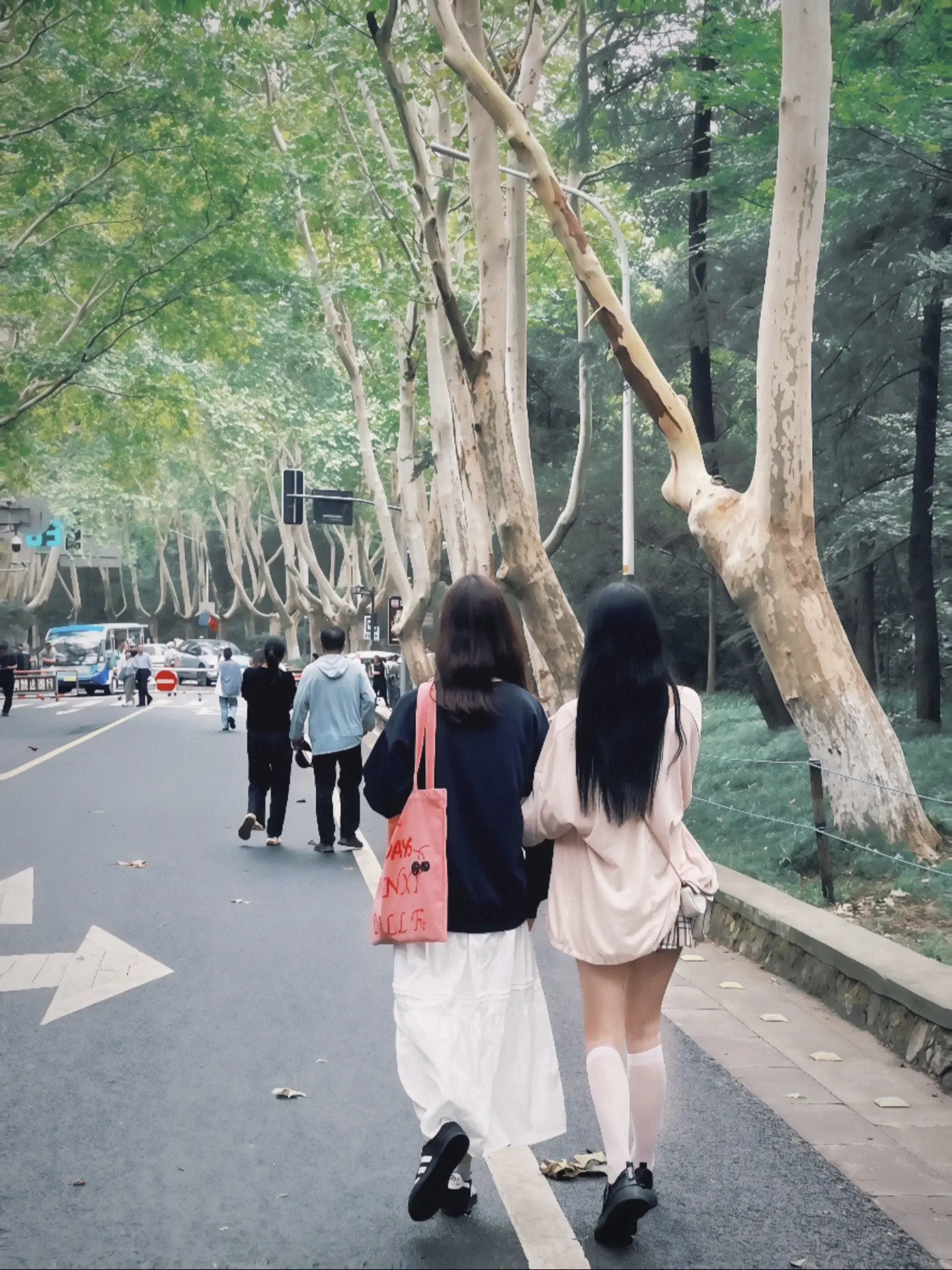 你看  还是我们。