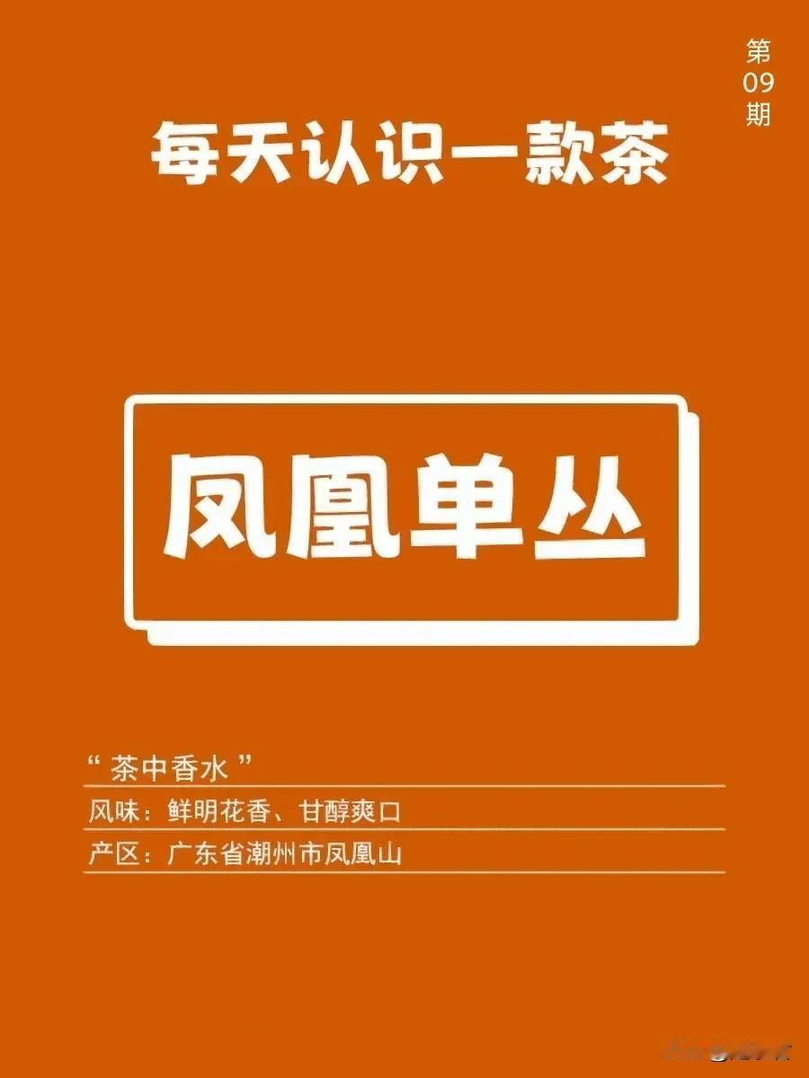 凤凰单丛| 每天认识一款茶09

凤凰单丛号称是“茶中香水”，有名的鸭屎香也是其