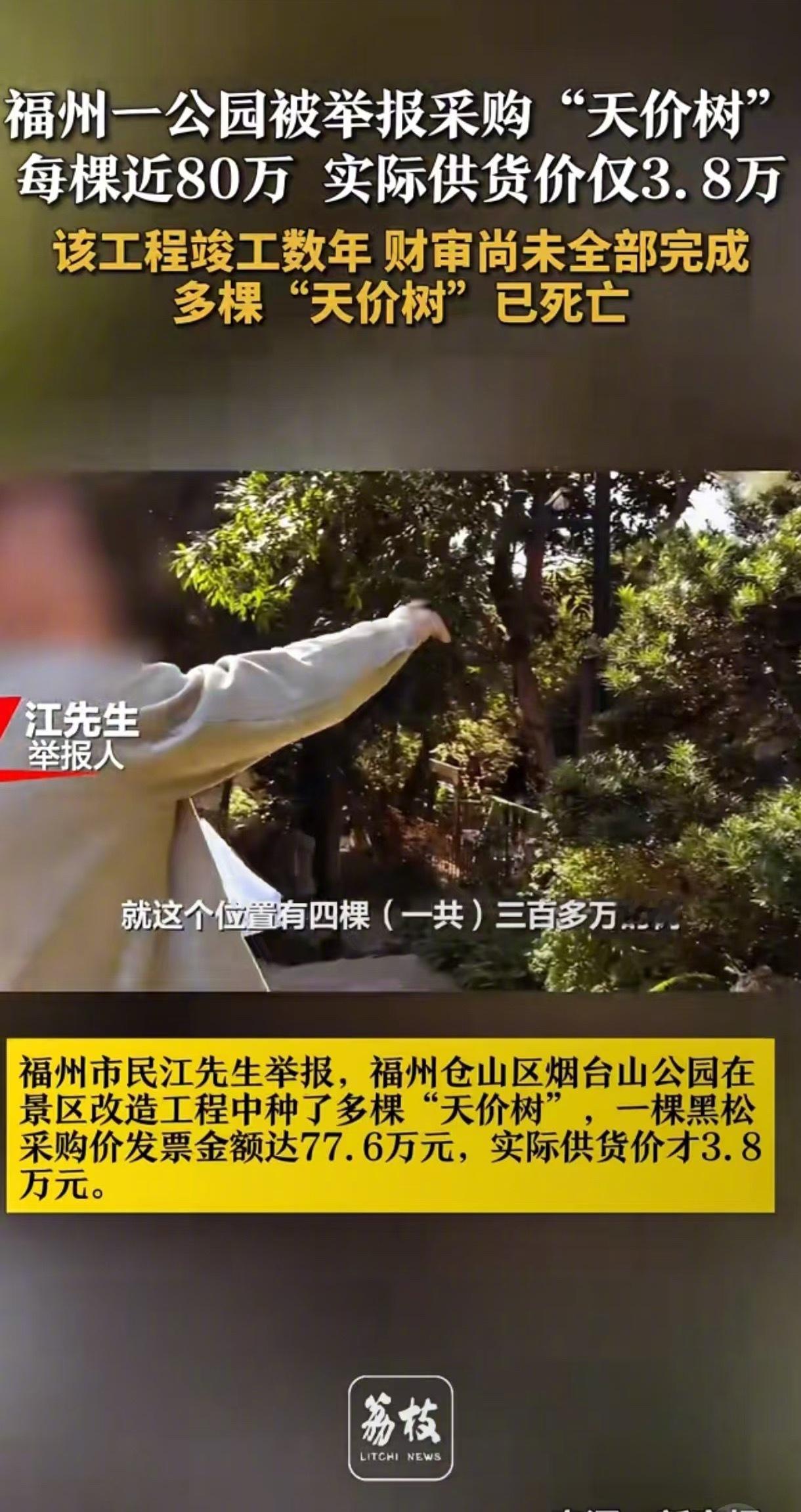 一公园被举报采购天价树每棵近80万 这里有很多问题，竣工数年，财审还没全部完成，