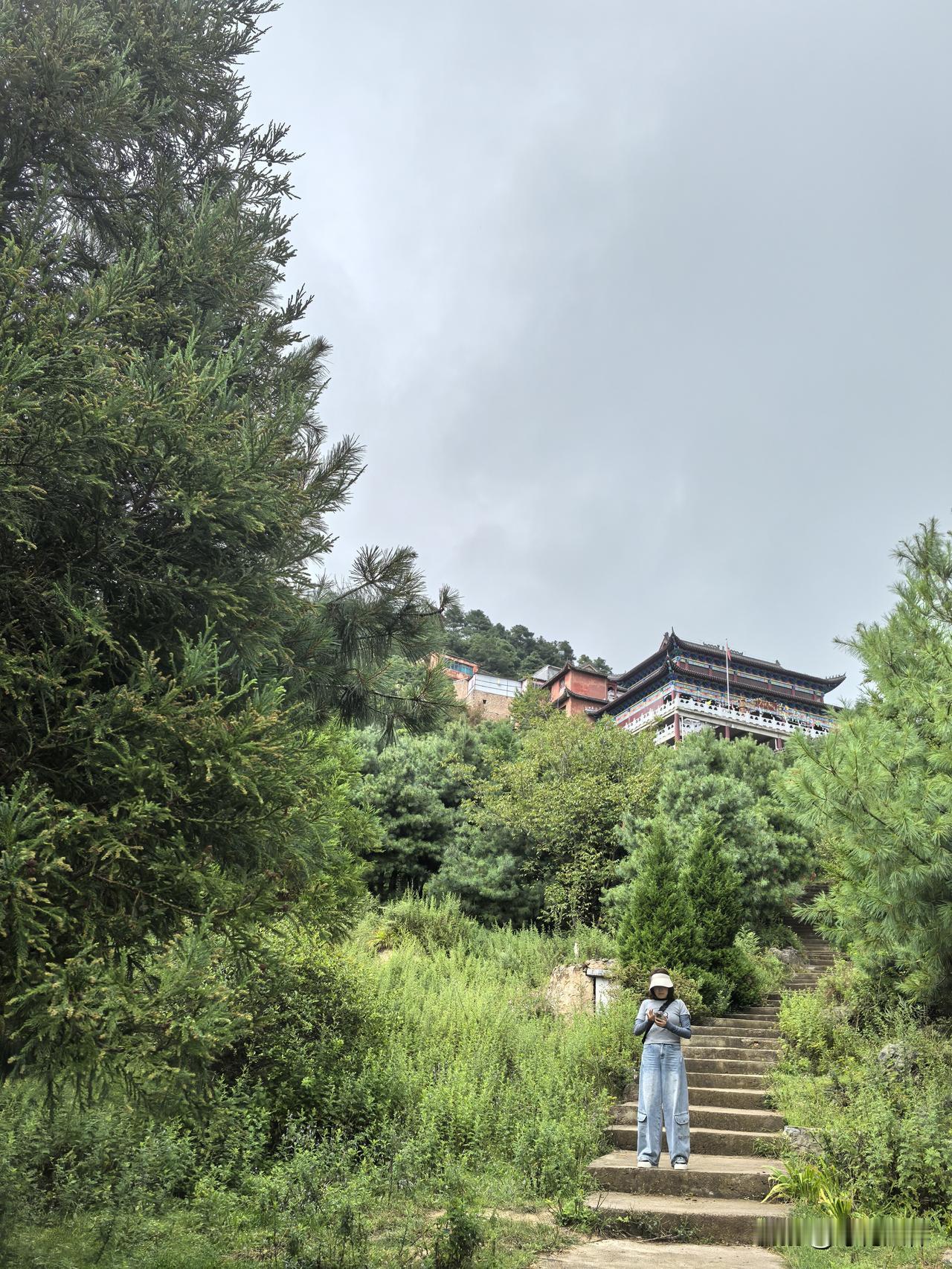古龙的父子情结：怨有多深，念就有多深

他终究还是去了。病榻上的老人已不复当年抛