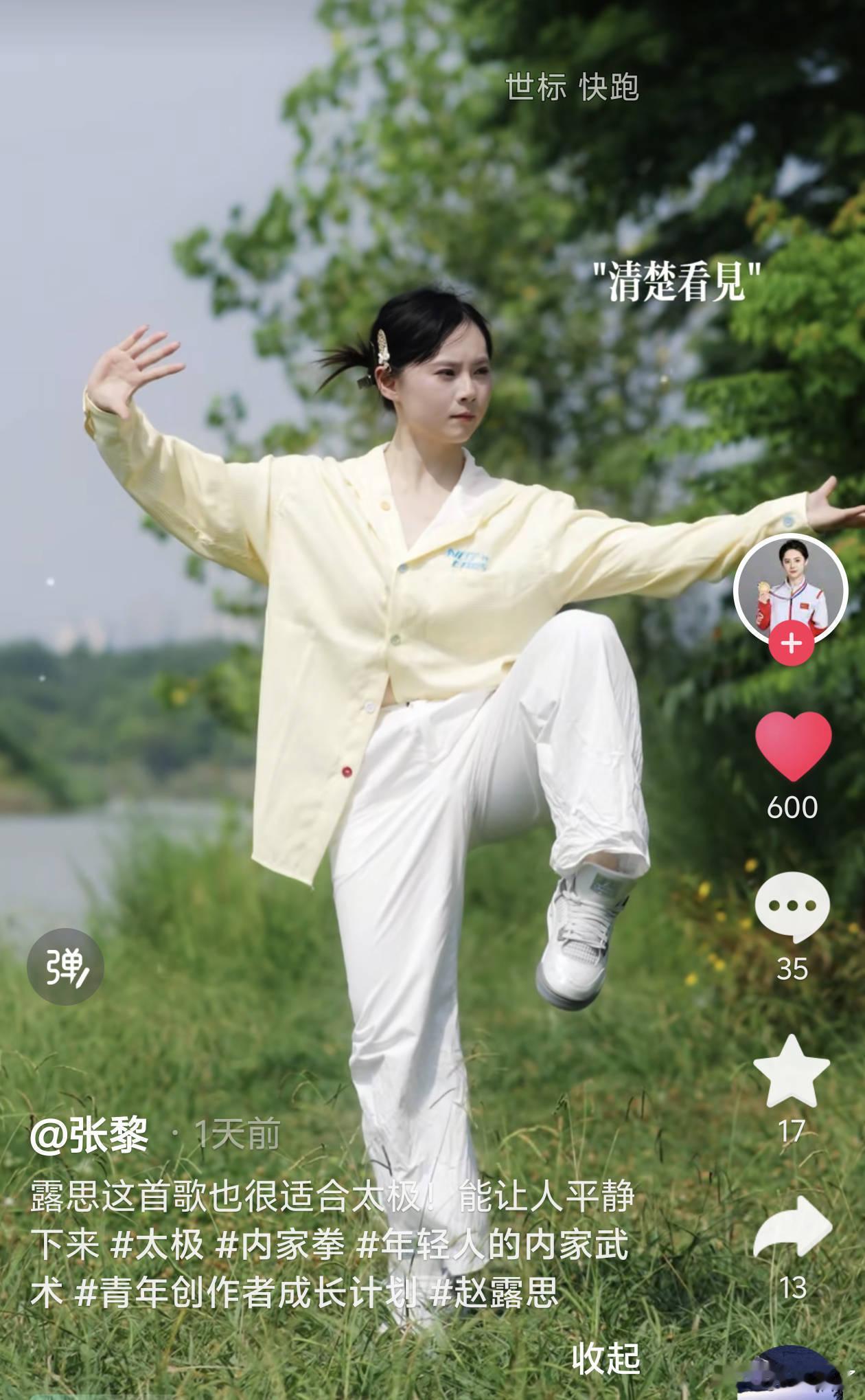 世界太极拳冠军用了赵露思《小小 》这首歌诶