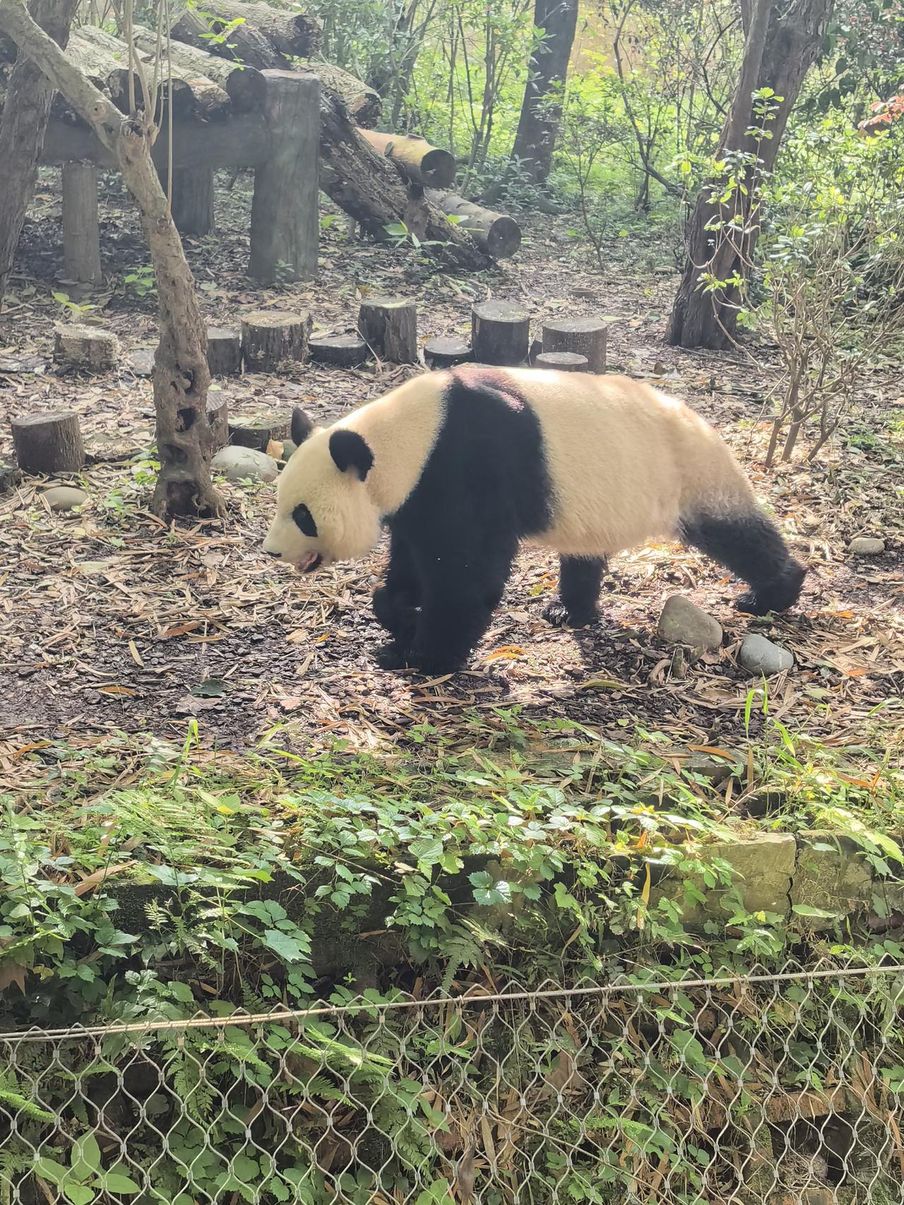 春日生活打卡季