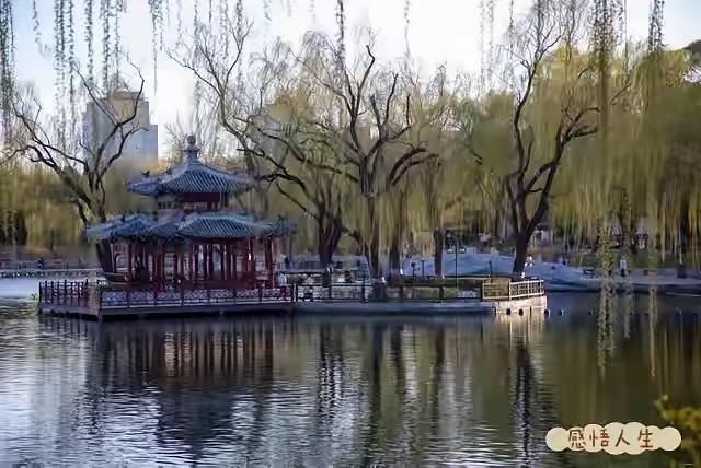 是该放下了？
十年了，儿子至今仍然孑然一身，至今没有结果，人家还是那样悠哉悠哉，