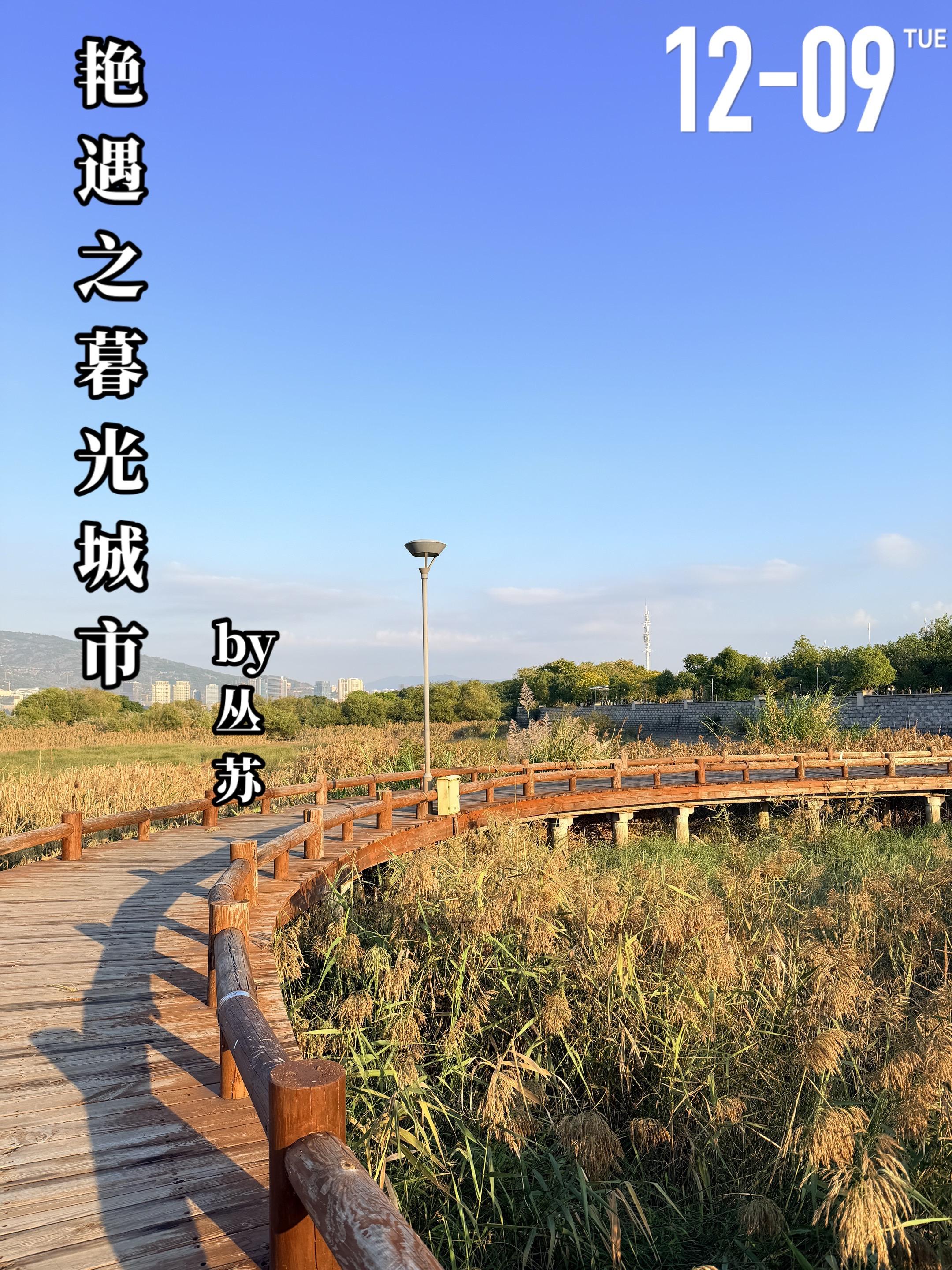 《艳遇之暮光城市》by丛苏。顾许幻（女主）在福利院里长大，从小她就知道...