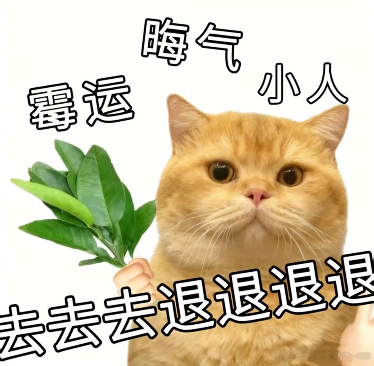 把今天的烦恼放一放，给自己一个轻松的晚安，好梦。 