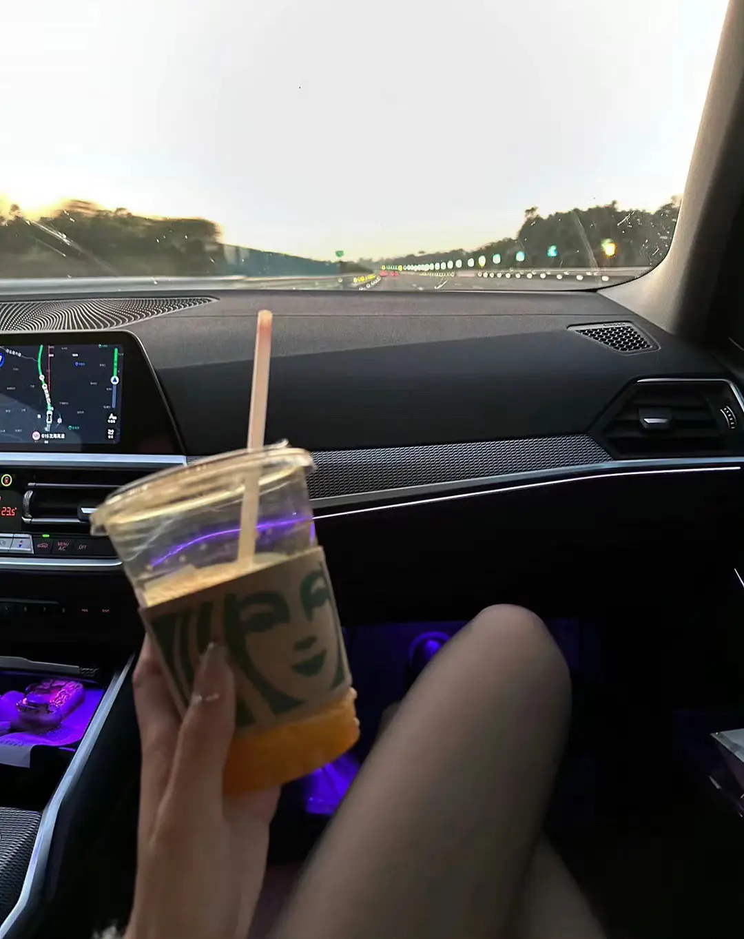 我不再会去为谁妆扮成玫瑰 而我要做自己的向日葵
