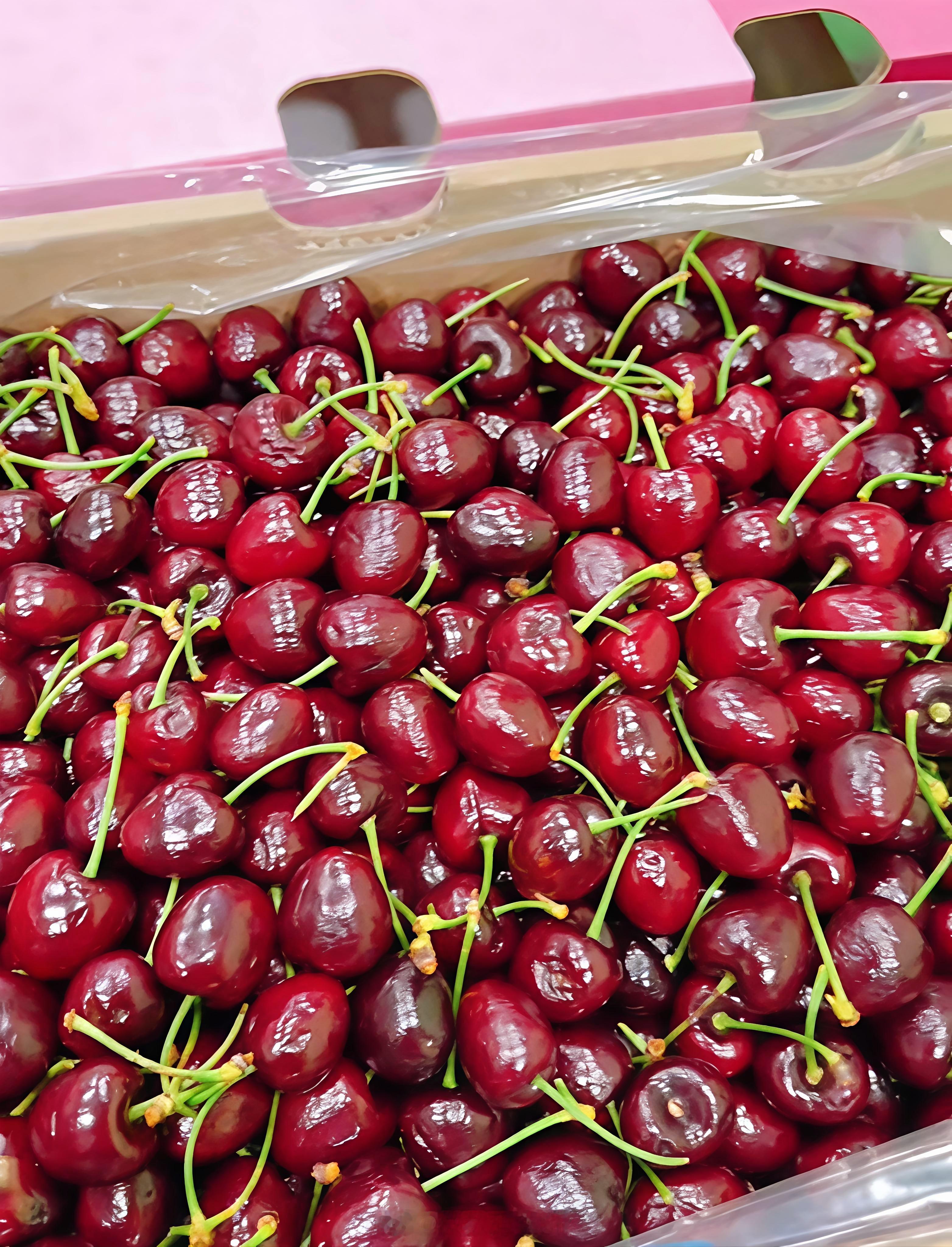 66￥/3斤的车厘子🍒感觉如何？车厘子价格大跳水批发商却笑不出