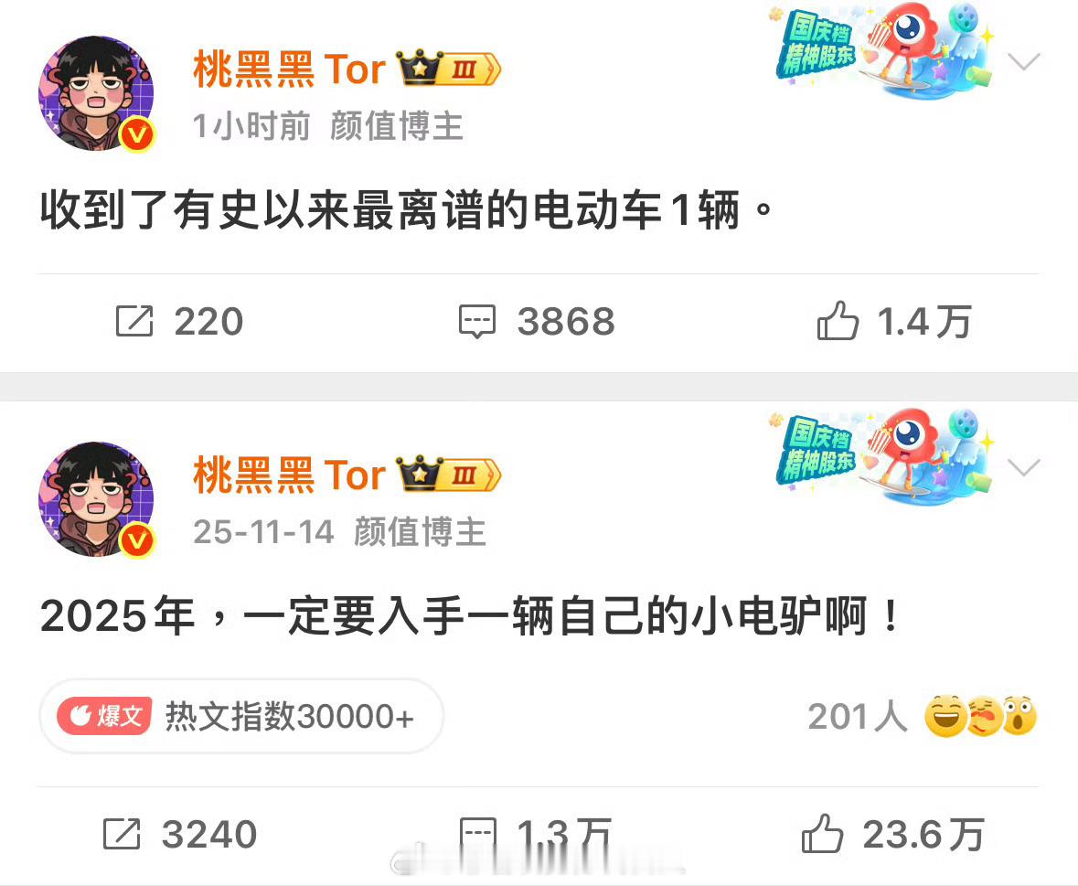 桃黑黑收到了有史以来最离谱的电动车坠子快发！我真的好好奇 