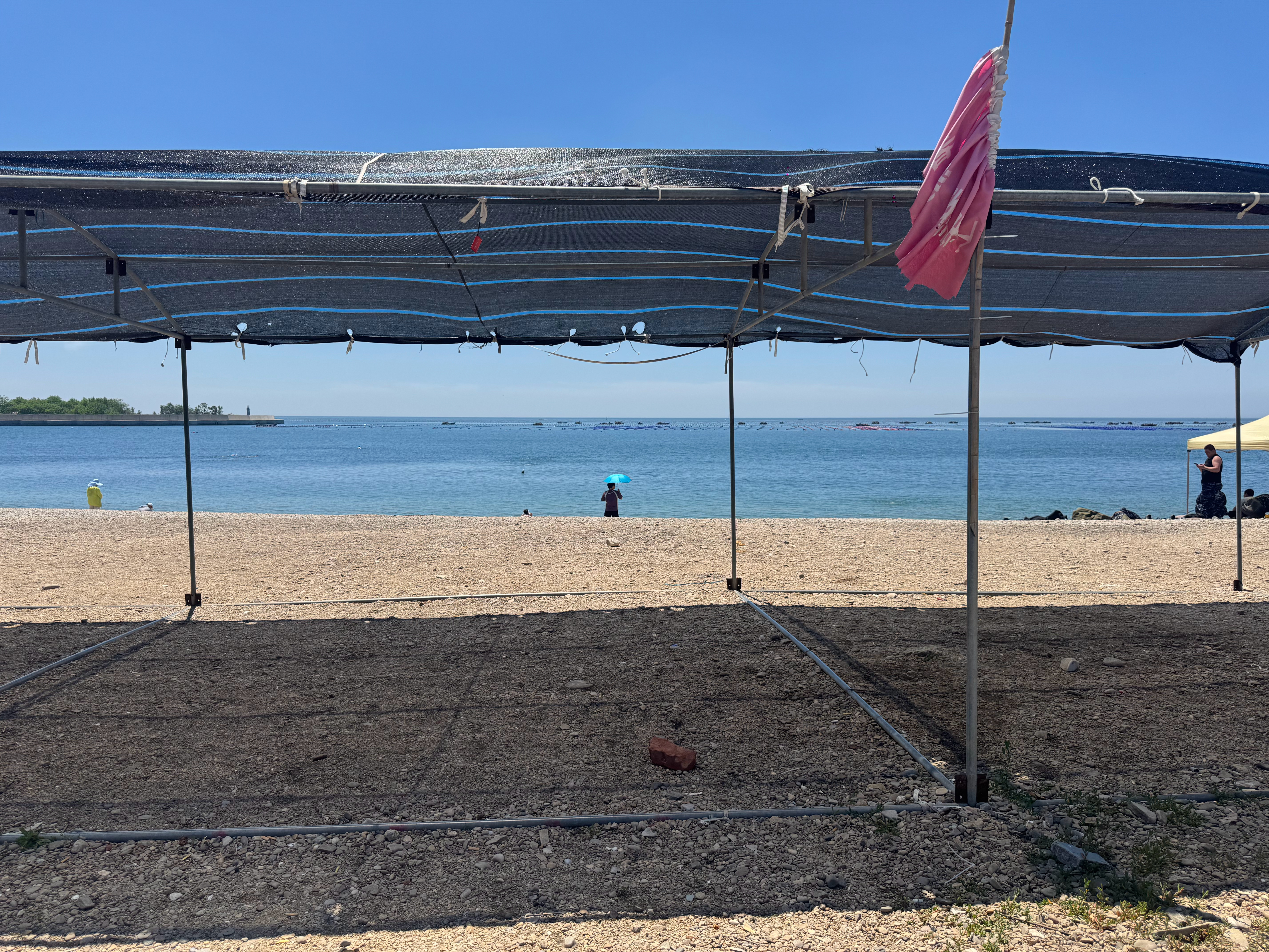 旅顺的海